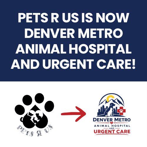 Denver Metro Ah Popup